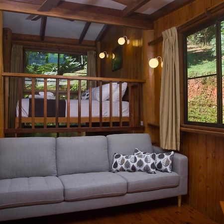 米尔克伍德山林小屋 库克敦 外观 照片