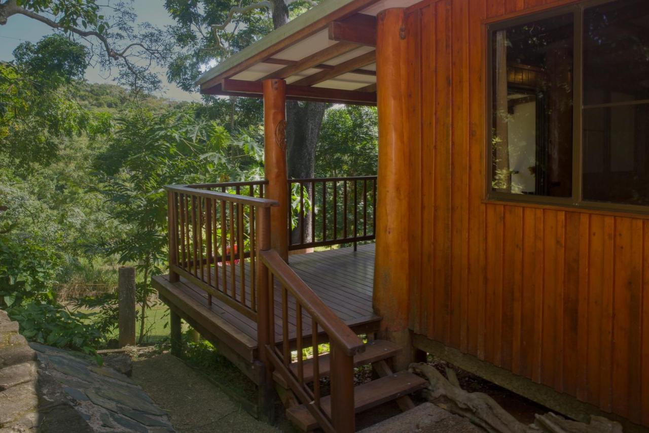米尔克伍德山林小屋 库克敦 外观 照片