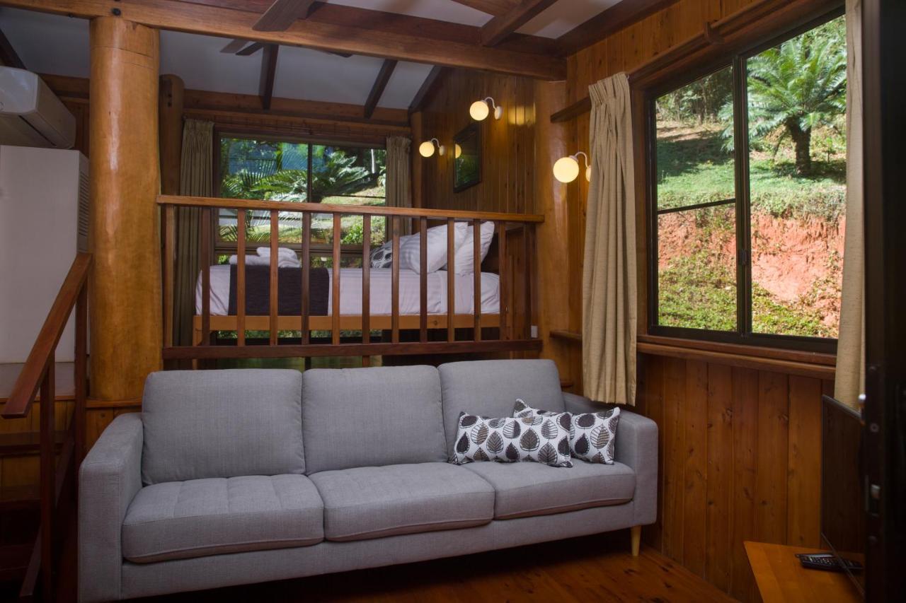 米尔克伍德山林小屋 库克敦 外观 照片